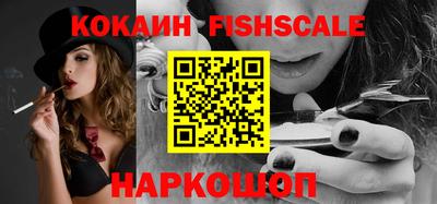 гашик Кимры