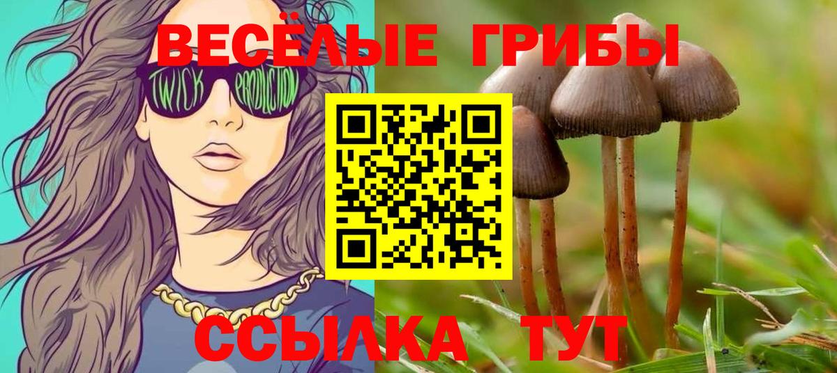 Карпинск  Галлюциногенные грибы Psilocybine cubensis  Вход с VPN 